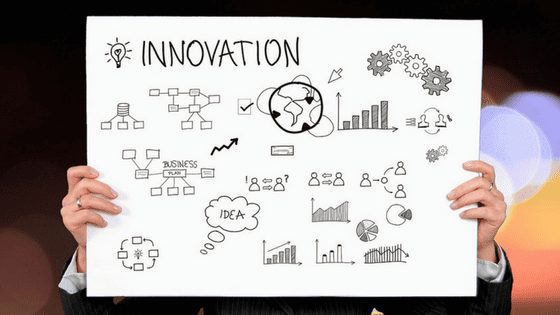 Delphinium - 5 Ways to Build Innovation into Your Business