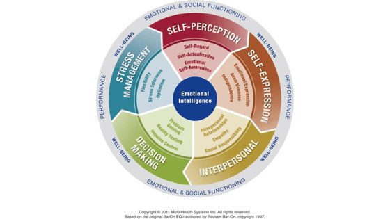 Emotional-Quotient-Inventory-EQ-i-2.0-wheel.png